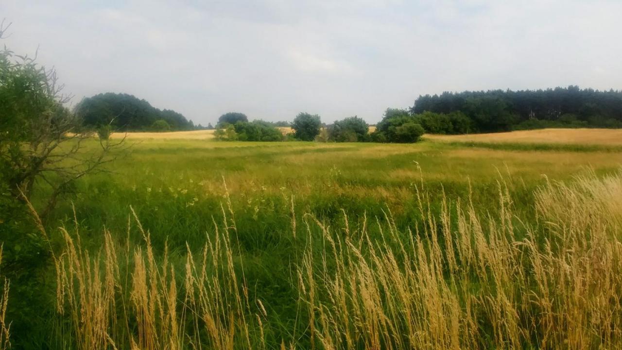 Mirabellenhof - Kleine Ferienwohnung Mit Altstadtblick Biesenthal Zewnętrze zdjęcie